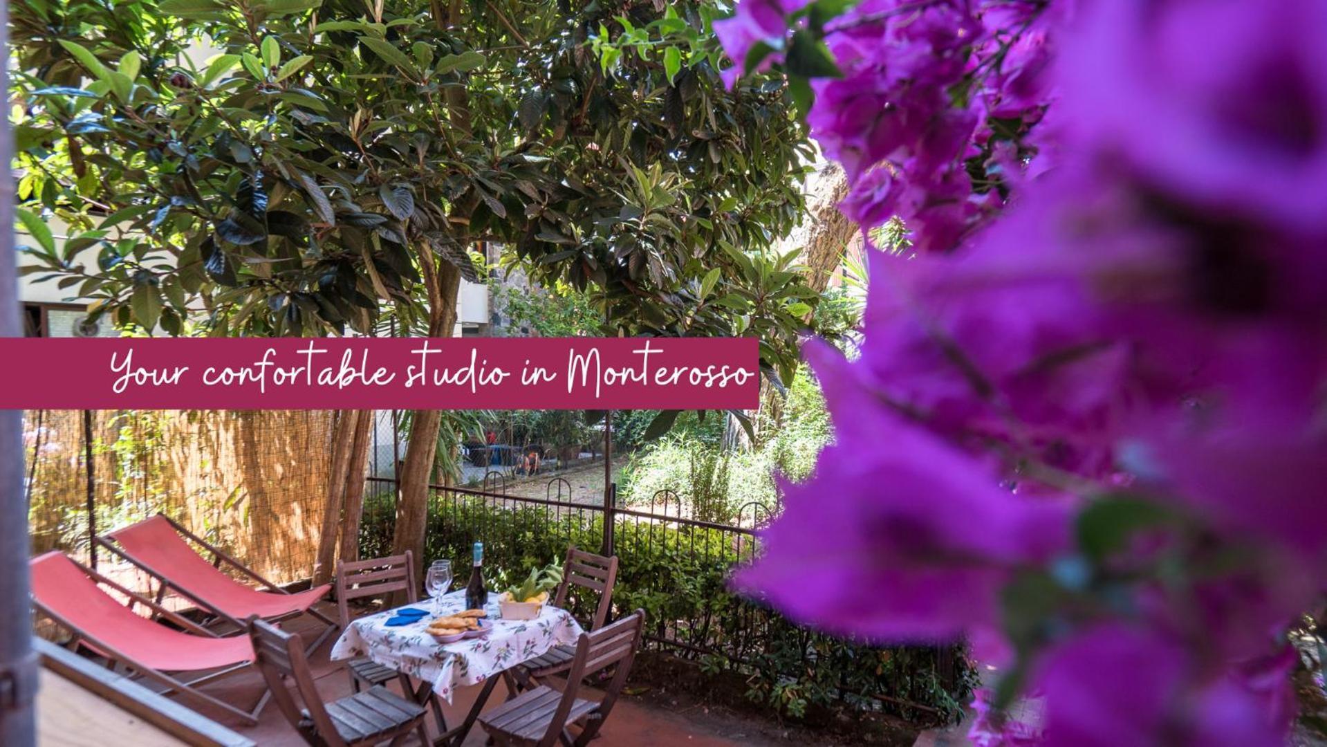 Il Giardino Di Ada Ground Floor Studio With Ac And Patio Monterosso al Mare Buitenkant foto